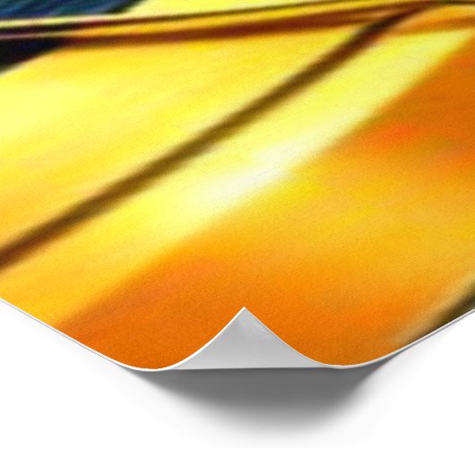 OPOSSUM DE JAY POSTER (Hoek)