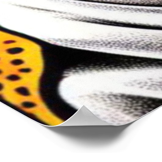 OPOSSUM IN DE GROTE STAD-2 POSTER (Hoek)