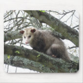 Opossum in een boom muismat (Voorkant)