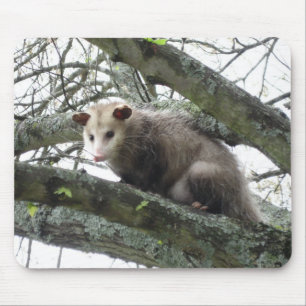 Opossum in een boom muismat