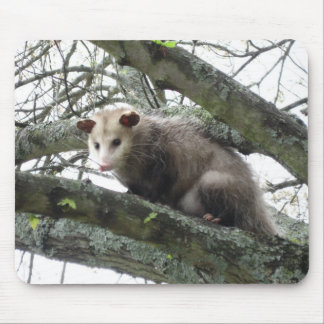 Opossum in een boom muismat