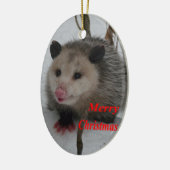 Opossum Keramisch Ornament (Links)