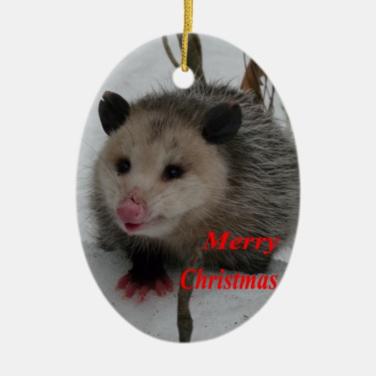 Opossum Keramisch Ornament (Voorkant)