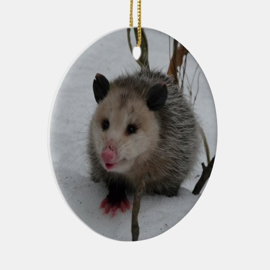 Opossum Keramisch Ornament (Rechts)