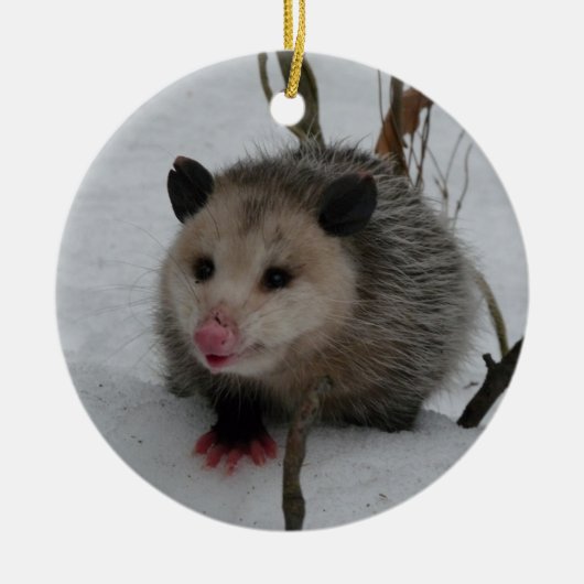 Opossum Keramisch Ornament (Voorkant)