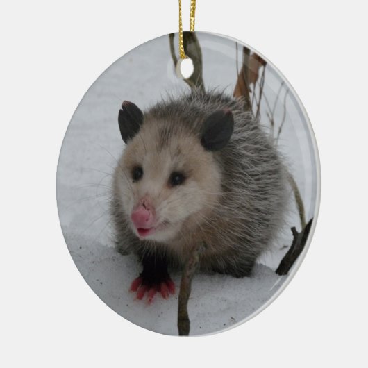 Opossum Keramisch Ornament (Links)