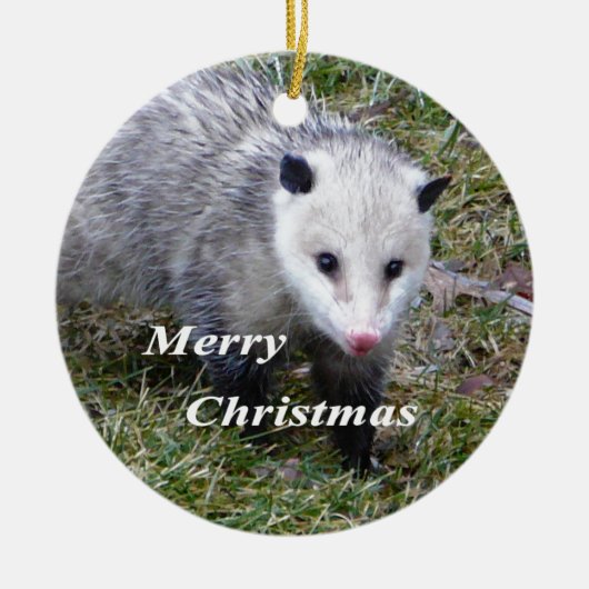 Opossum Keramisch Ornament (Voorkant)