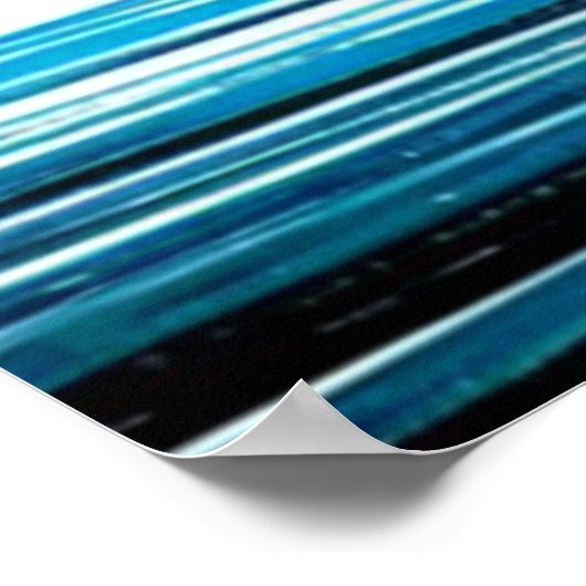 OPOSSUM-LEVEN IN DE STAD 6 POSTER (Hoek)