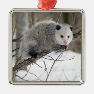 Opossum Love Metalen Ornament