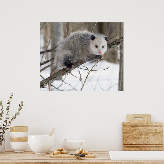 Opossum Love Poster (Keuken)