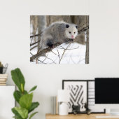 Opossum Love Poster (Thuiskantoor)