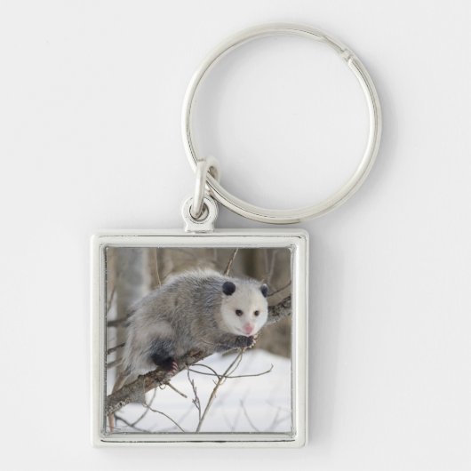 Opossum Love Sleutelhanger (Voorkant)