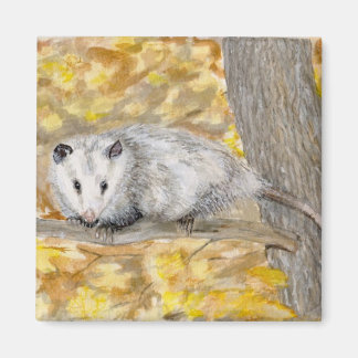 Opossum magneet