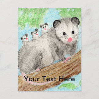 Opossum mam Briefkaart