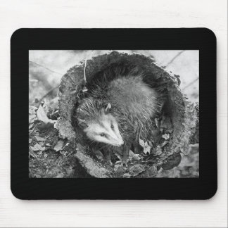 Opossum Muismat