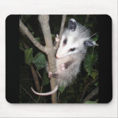 Opossum Muismat (Voorkant)