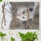 Opossum Natuur Keuken Handdoek (Gevouwen)