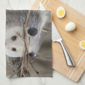 Opossum Natuur Keuken Handdoek (Quarter Fold)