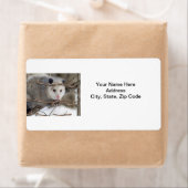 Opossum Natuur Labels (Insitu)