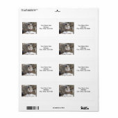 Opossum Natuur Labels (Full Sheet)