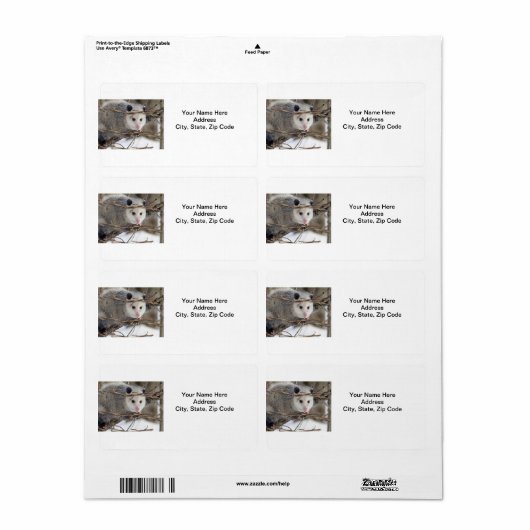 Opossum Natuur Labels (Full Sheet)