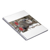 Opossum Natuur Notitieboek (Rechterzijde)