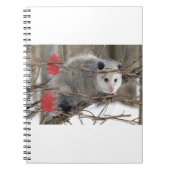 Opossum Natuur Notitieboek (Voorkant)