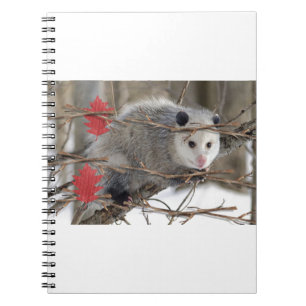 Opossum Natuur Notitieboek