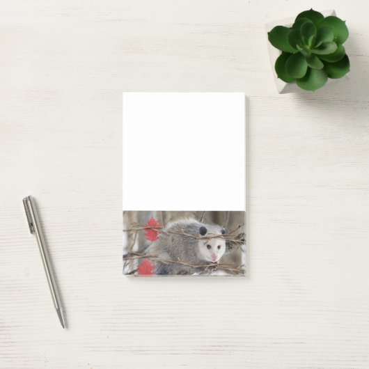 Opossum Natuur Notities Post-it® Notes (Kantoor)