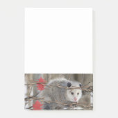 Opossum Natuur Notities Post-it® Notes (Voorkant)