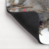 Opossum Natuur Witte Muismat! Muismat (Hoek)