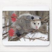 Opossum Natuur Witte Muismat! Muismat (Voorkant)