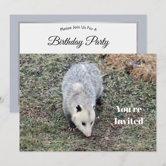 Opossum Photo Birthday Kaart (Voorkant / Achterkant)