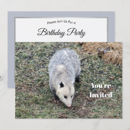 Opossum Photo Birthday Kaart