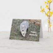Opossum Photo Birthday Kaart (Gele Bloem)
