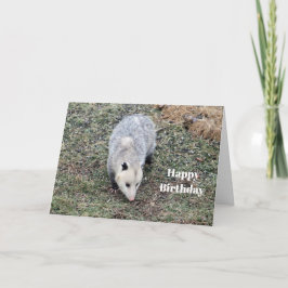 Opossum Photo Birthday Kaart