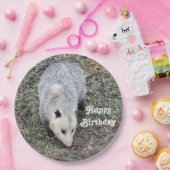 Opossum Photo Birthday Papieren Bordje (Feest)