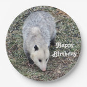 Opossum Photo Birthday Papieren Bordje (Voorkant)
