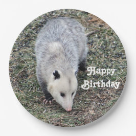 Opossum Photo Birthday Papieren Bordje