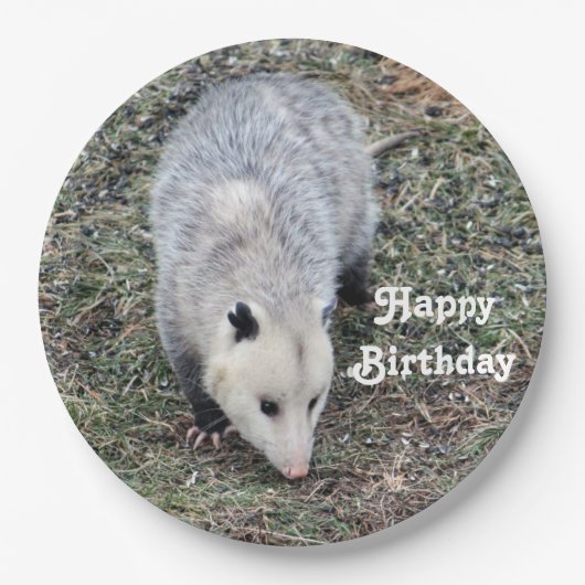Opossum Photo Birthday Papieren Bordje (Voorkant)