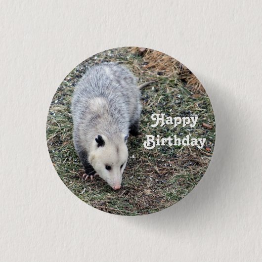 Opossum Photo Birthday Ronde Button 3,2 Cm (Voorkant)
