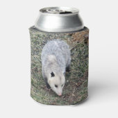 Opossum Photo Blikjeskoeler (Blikje Achterkant)