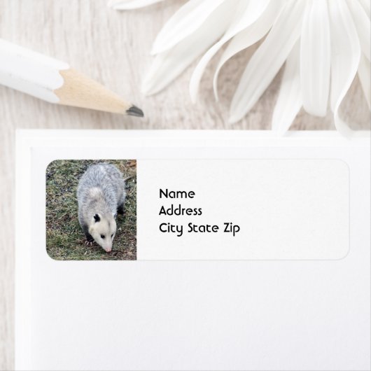 Opossum Photo Etiket (Insitu)