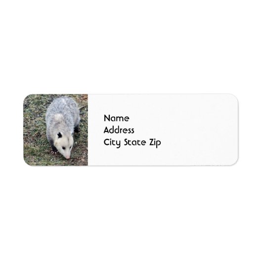 Opossum Photo Etiket (Voorkant)