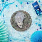 Opossum Photo Papieren Bordje (Feest)