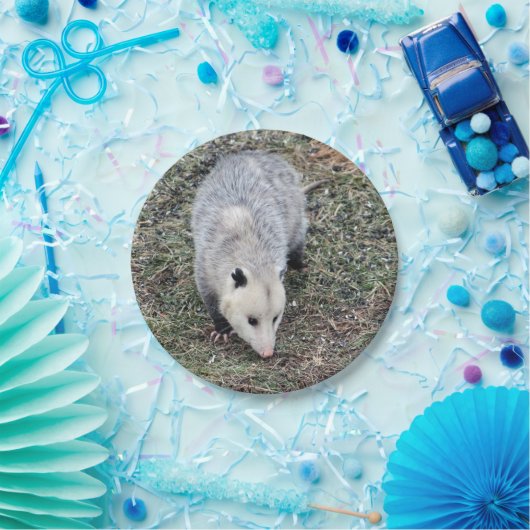 Opossum Photo Papieren Bordje (Feest)