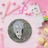 Opossum Photo Papieren Bordje (Feest)