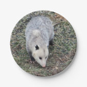 Opossum Photo Papieren Bordje (Voorkant)