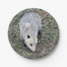 Opossum Photo Papieren Bordje