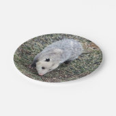 Opossum Photo Papieren Bordje (Gekanteld)